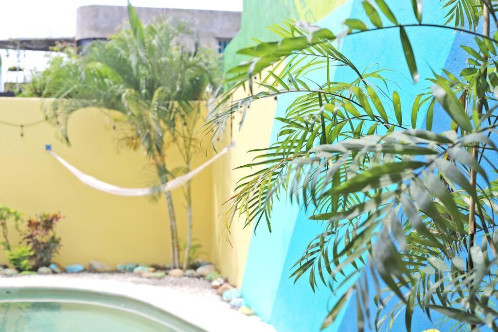 Studio -Sand At Mikasa- Fast Internet, King Bed, Pool, Near Beach, Ac Puerto Escondido  Exteriér fotografie